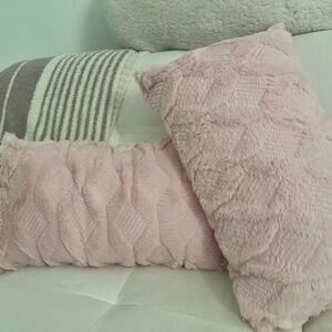 Two Pink Throw Pillows